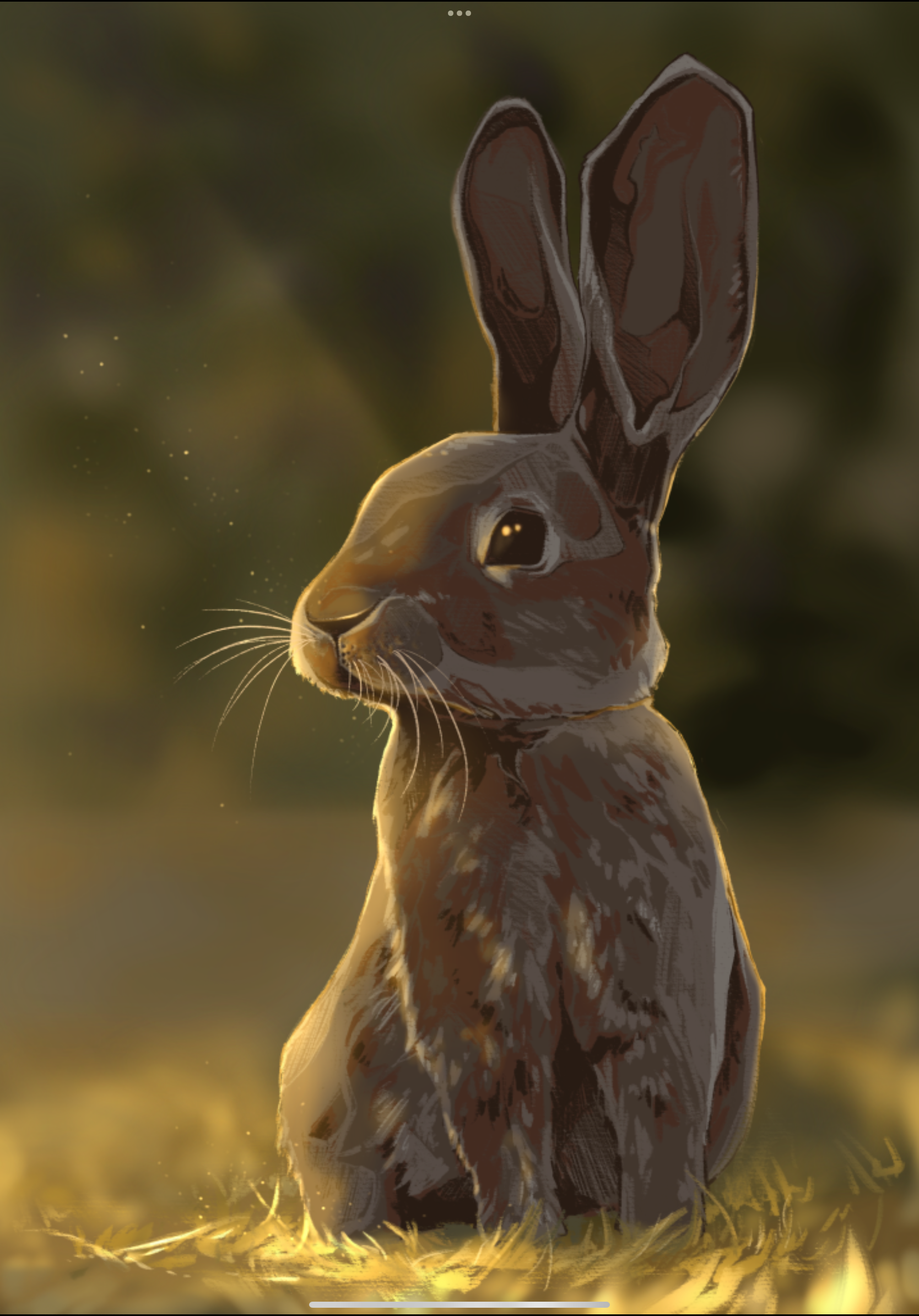 Dawn